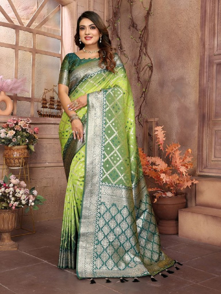 Rangmahira Saree Collection Multi