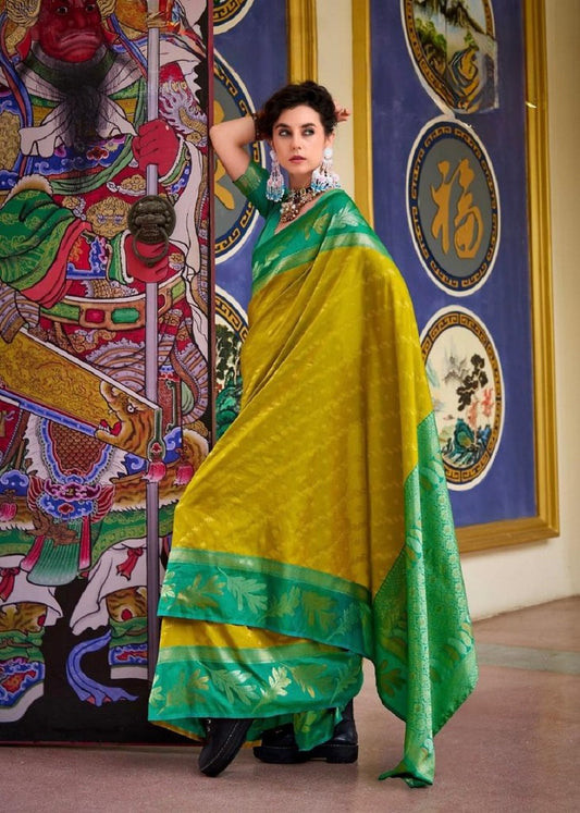 Rang Raagini Saree Collection Multi