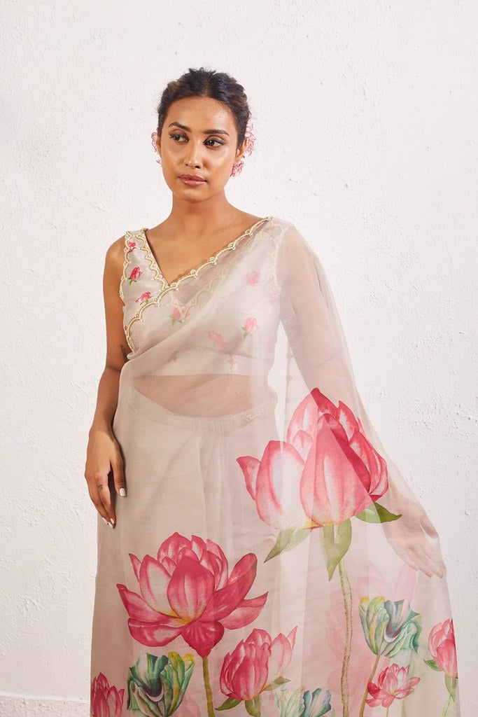 Aasmaani Saaz Saree Collection Grey