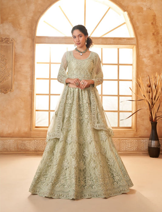 Luminous Net Lehenga Light Pista