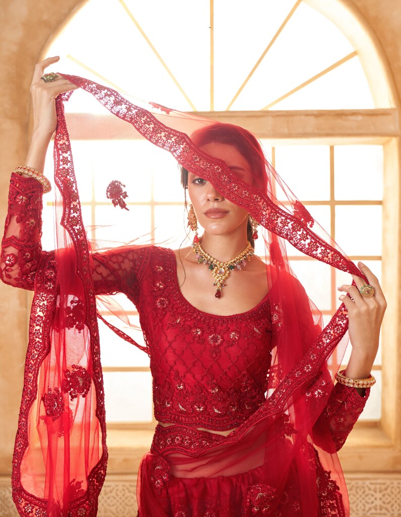 Luminous Net Lehenga Red