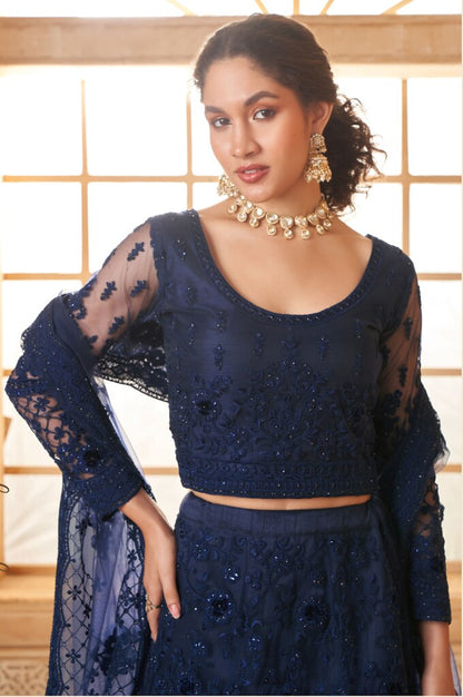 Luminous Net Lehenga Navy Blue