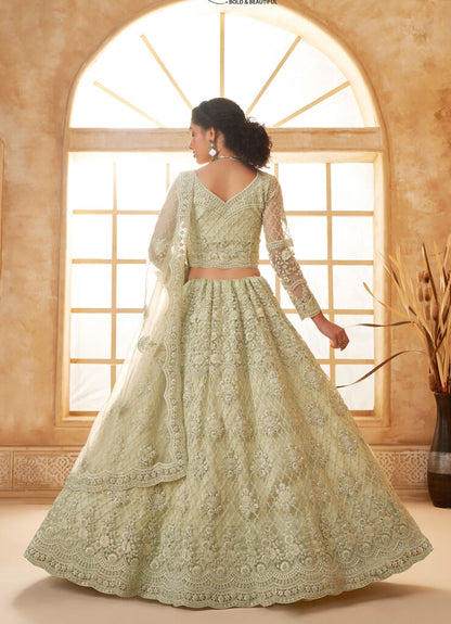 Luminous Net Lehenga Light Pista