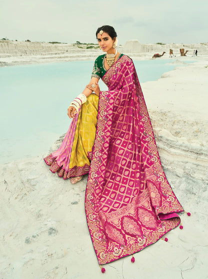 Subhragini Saree Collection