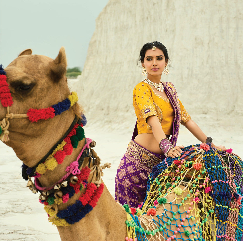 Subhragini Saree Collection