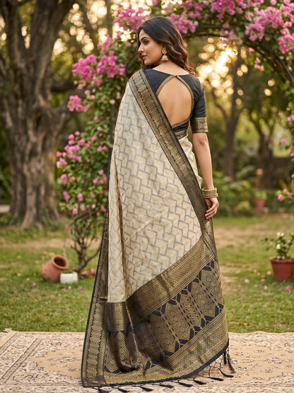 HarmonyHue Sarees Chiku & Black