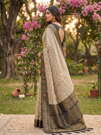 HarmonyHue Sarees Chiku & Black