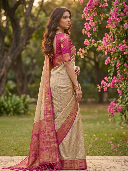 HarmonyHue Sarees Chiku & Pink