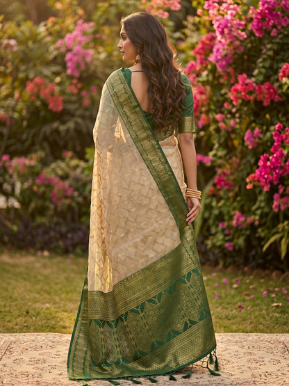 HarmonyHue Sarees Chiku & Green
