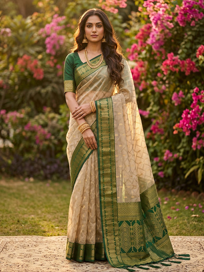 HarmonyHue Sarees Chiku & Green