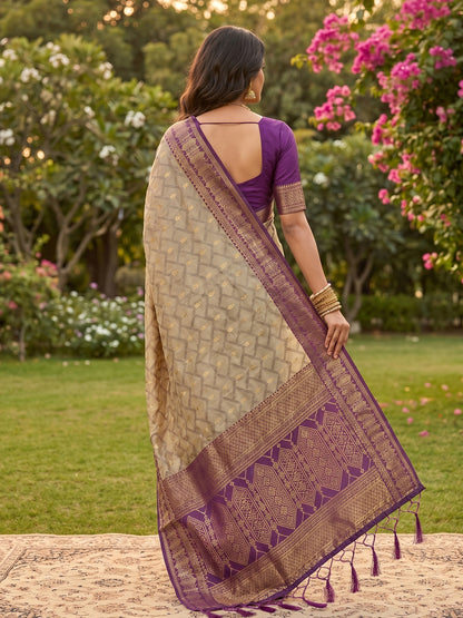 HarmonyHue Sarees Chiku With Purple