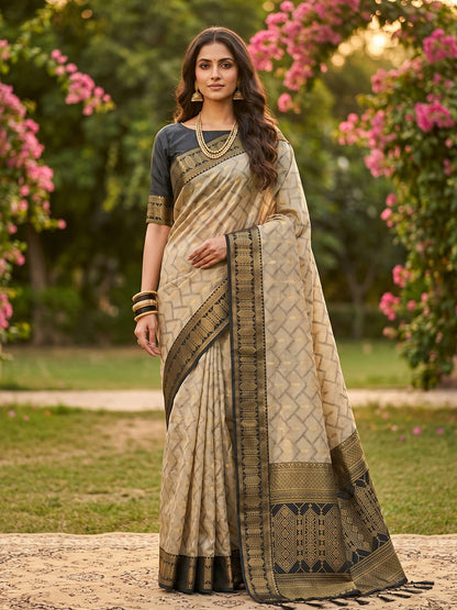 HarmonyHue Sarees Chiku & Black