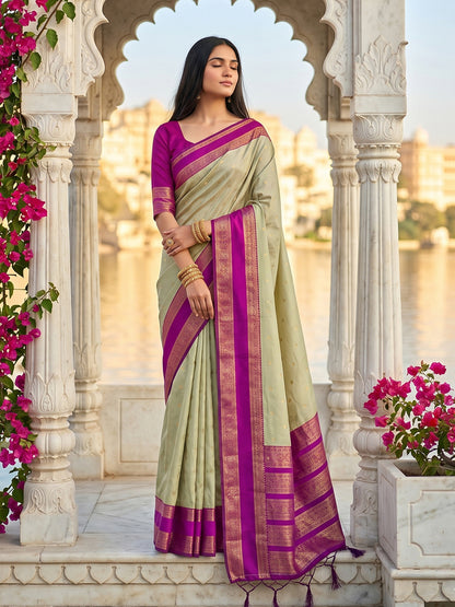 DreamDrape Saree Collection Chiku