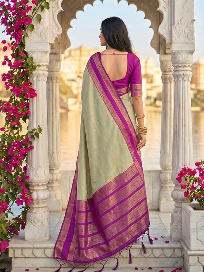 DreamDrape Saree Collection Chiku